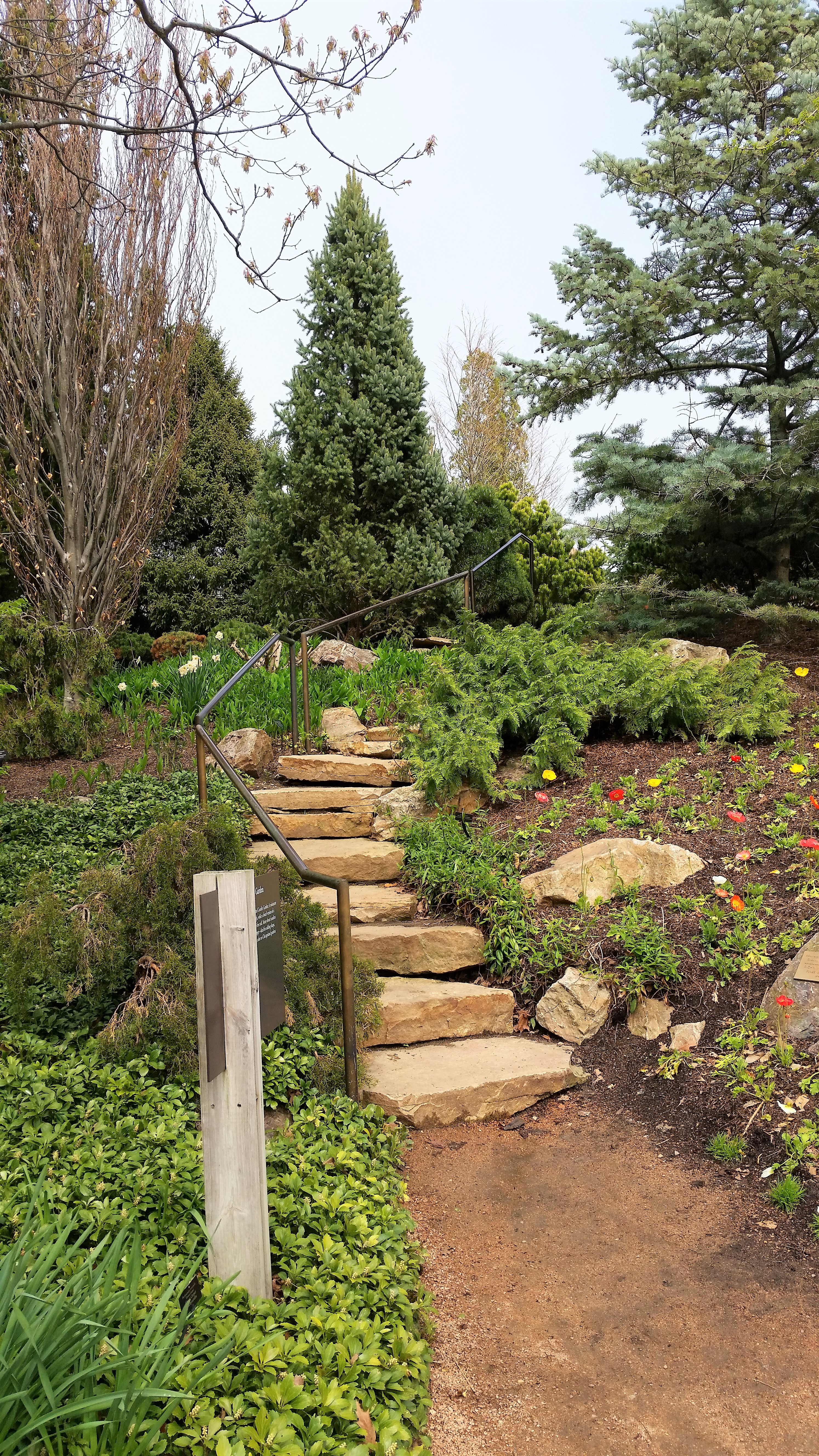 20150506_142215 (3).jpg