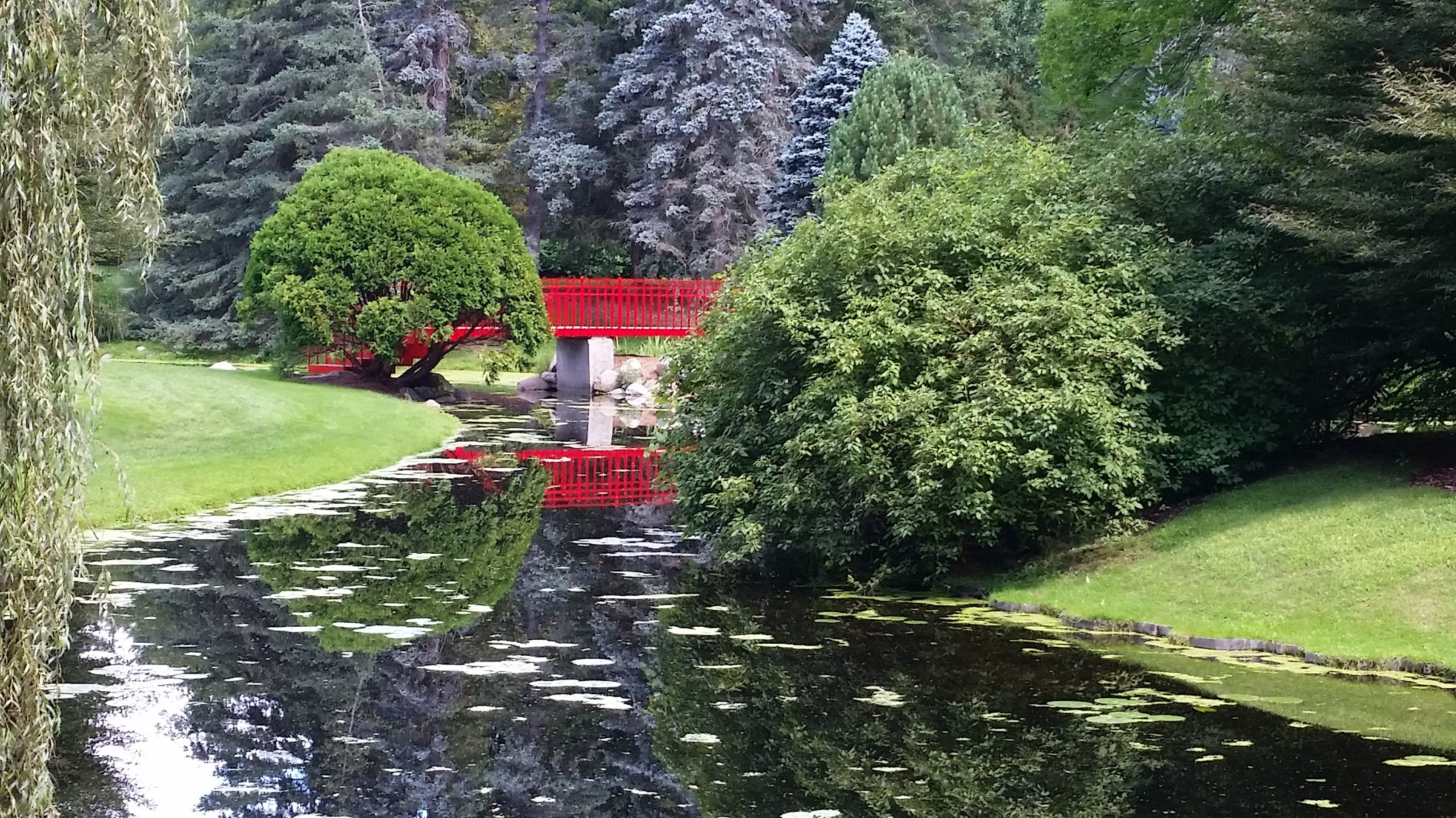 Red Bridge in the Trees